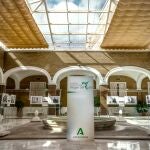 Exposición en el Hospital Virgen del Rocío de Sevilla