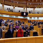 Sesión de control del Senado @Gonzalo Pérez Mata 
