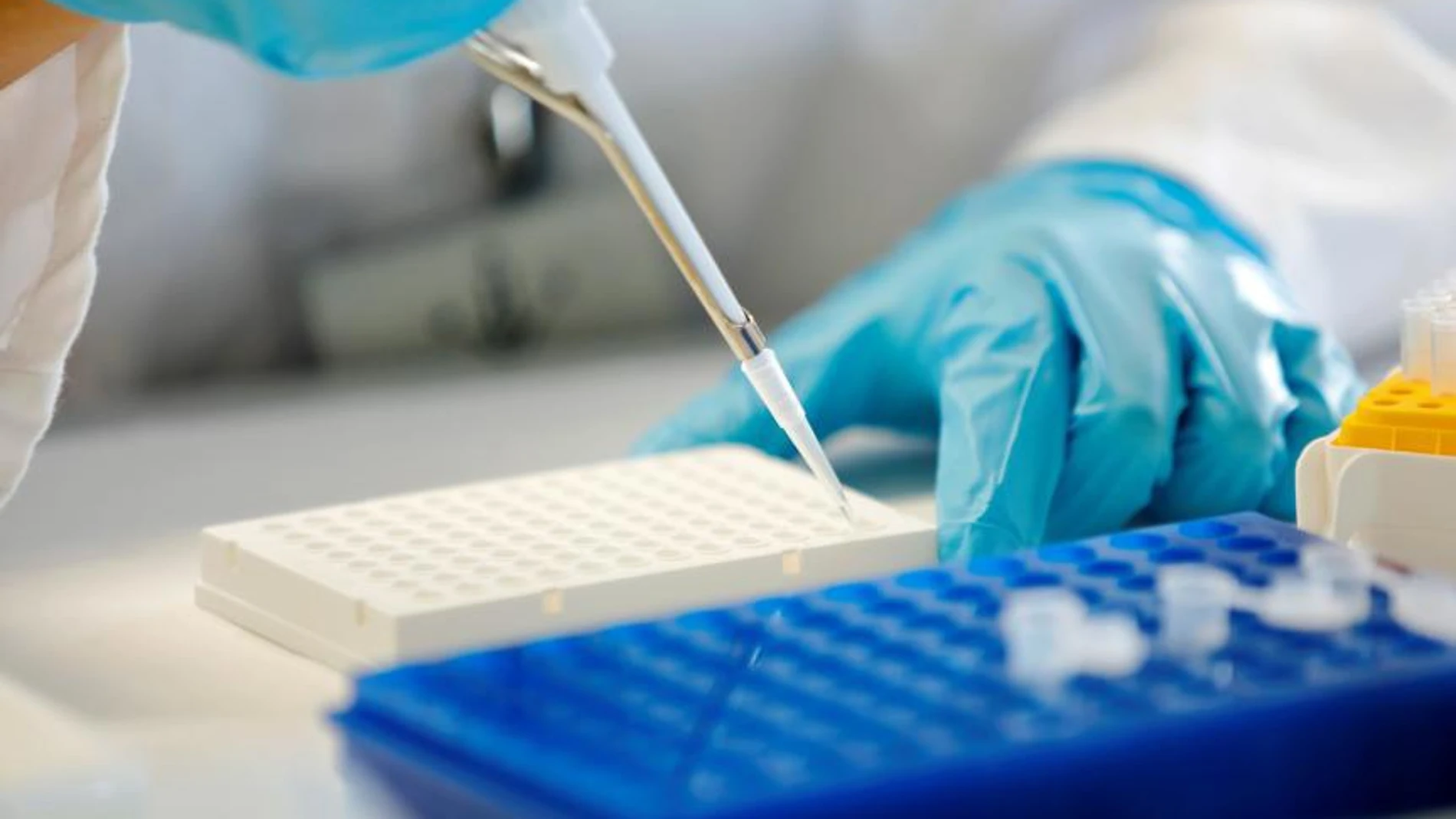 Un investigador en el laboratorio FUNDACIÓN LA CAIXA 06/03/2024