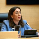 María González Corral durante su comparecencia en las Cortes