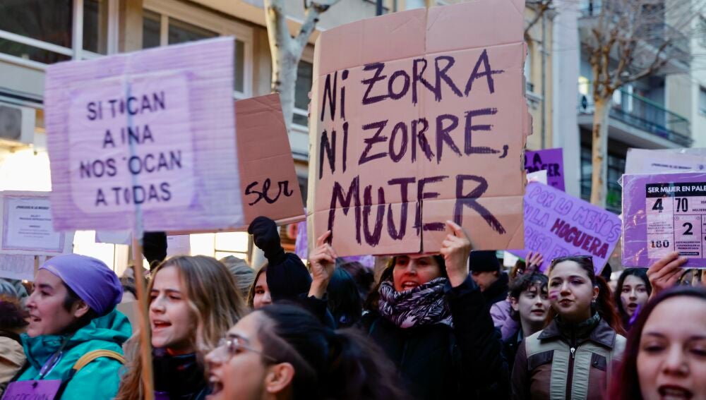 Miles de personas salen a las calles de Castilla y León para ...