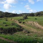 La Sierra del Retín, en Barbate (Cádiz), es una zona militar con acceso restringido
