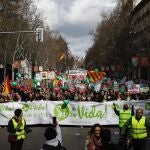 Miles de personas marchan en Madrid a favor de la vida