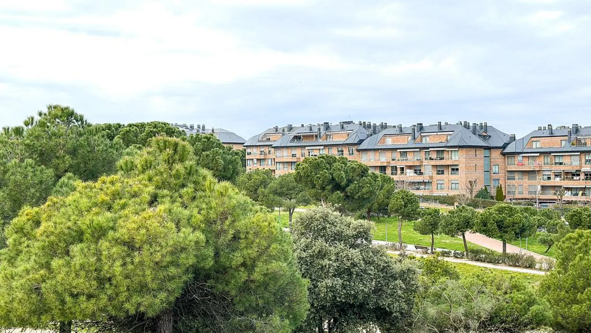 La región madrileña está en el "top" de la longevidad en España