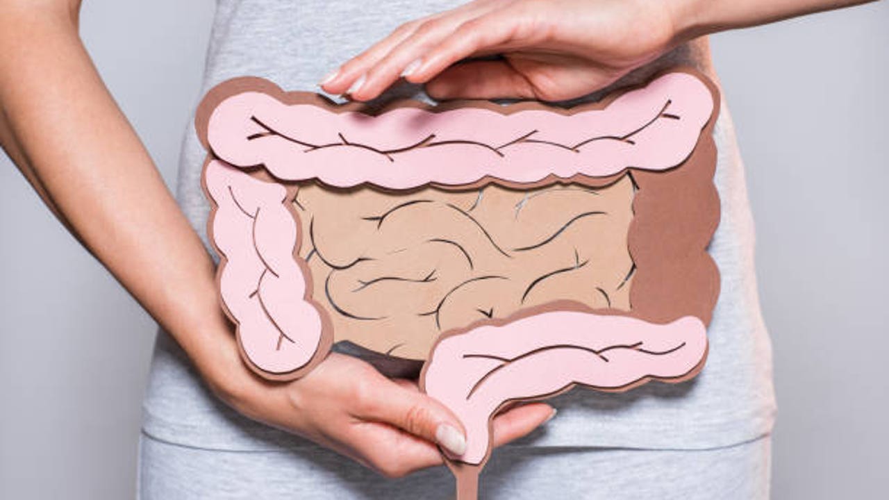 La ciencia de la microbiota intestinal y los hábitos que no debes ignora