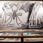 Exposición sobre la Malaria en el Museo de Ciencias Naturales. © Jesús G. Feria.