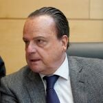 Mario Amilivia, presidente del Consejo de Cuentas, comparece en las Cortes
