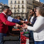 Un momento del reparto de fresas