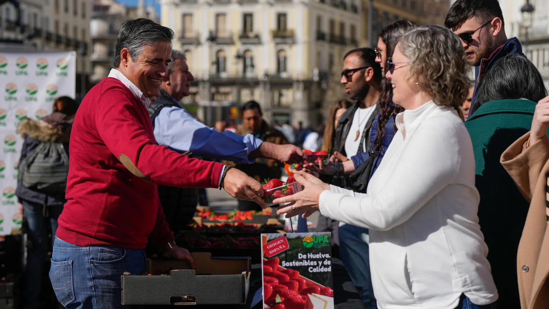 Un momento del reparto de fresas
