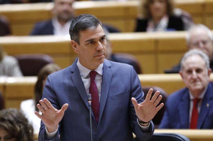 Sesion de control al Gobierno en el Senado. El presidente del Gobierno, Pedro Sanchez. © Jesús G. Feria.