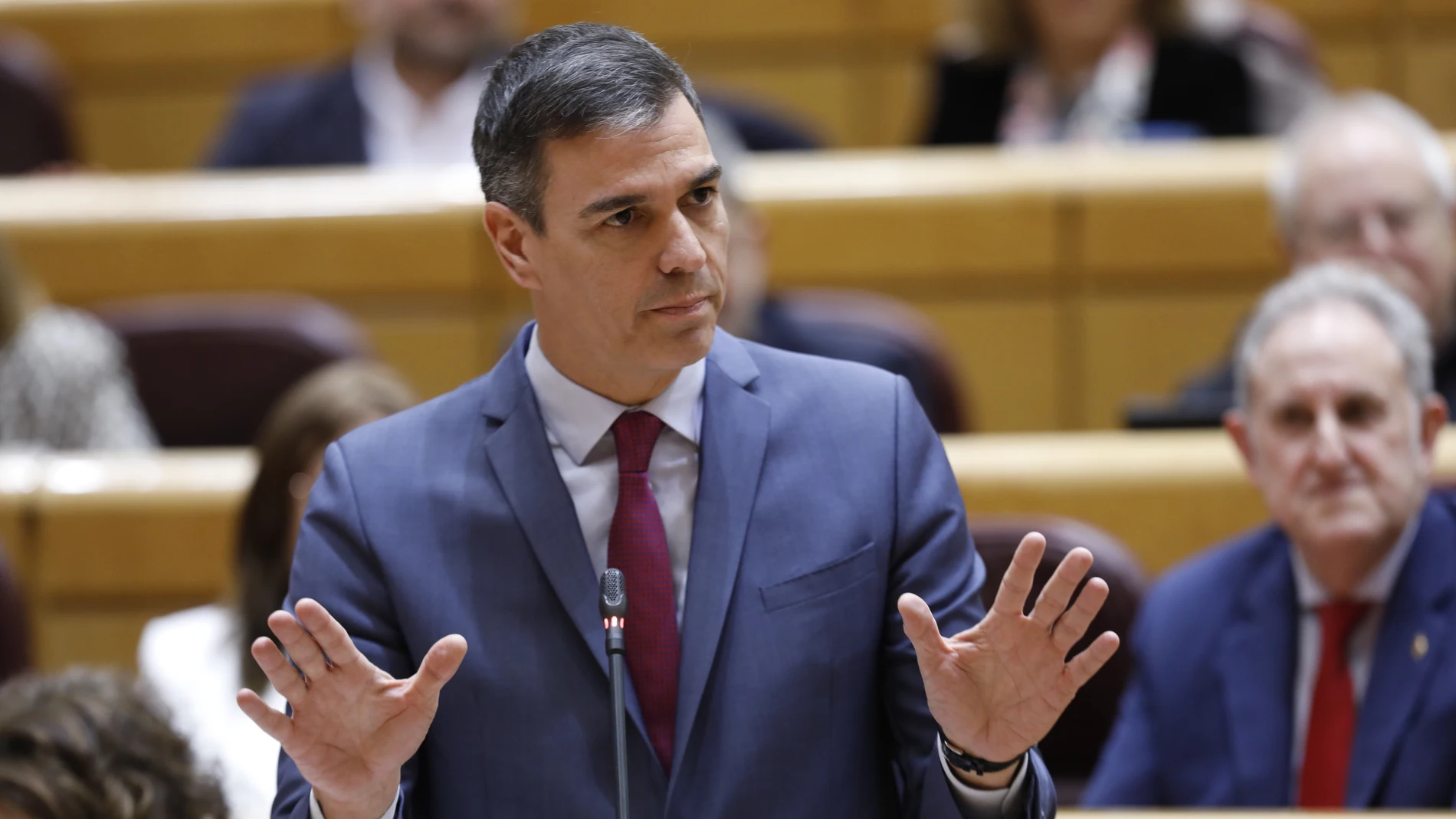 Sesion de control al Gobierno en el Senado. El presidente del Gobierno, Pedro Sanchez. © Jesús G. Feria.