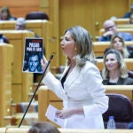 El ‘caso Koldo’ ocupa una nueva sesión de control del Gobierno en el Senado
