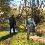 Sucesos.- Un amplio dispositivo participa en la búsqueda de un varón desaparecido en Plasencia