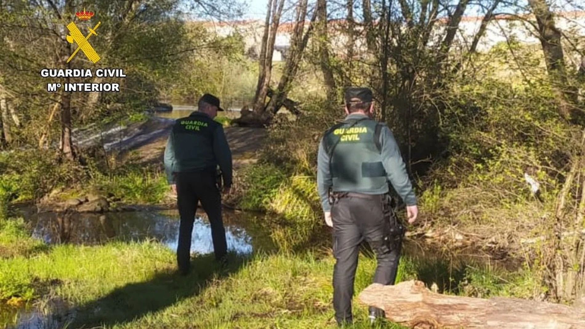 Dispositivo de búsqueda de la Guardia Civil GUARDIA CIVIL 12/03/2024