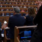 Feijoo en el Pleno del Congreso que vota la amnistia. David Jar