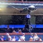 El ataque de un enjambre de abejas obliga a parar el Alcaraz-Zverev