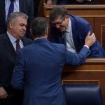 Pedro Sanchez en el Pleno del Congreso que vota la amnistia. David Jar