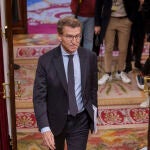 Feijoo en el Pleno del Congreso que vota la amnistia. David Jar