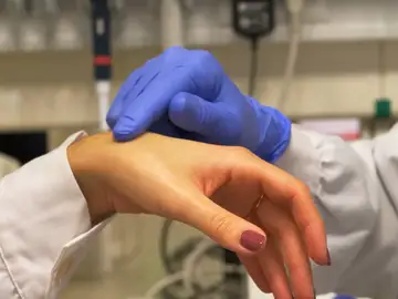 Aumento muy significativo de la sarna en España Aumento muy significativo de la sarna en España