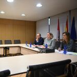 Isabel Blanco, durante última reunión telemática que mantuvo con el Gobierno por la crisis migratoria del pasado mes de octubre