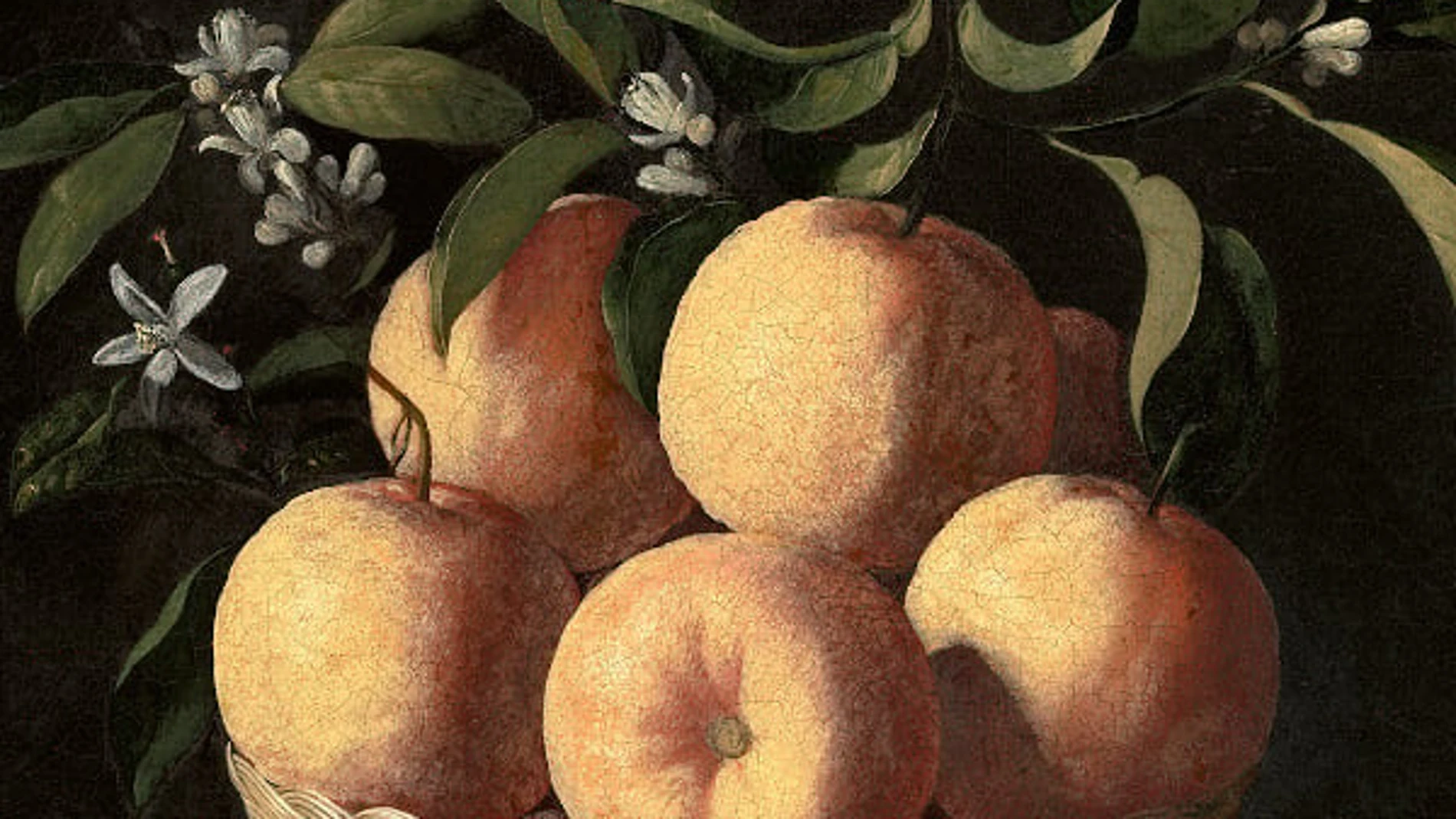 Detalle de "Bodegón con cidras, naranjas y rosa", de Zurbarán