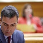 Sesión de control al Gobierno en el Senado