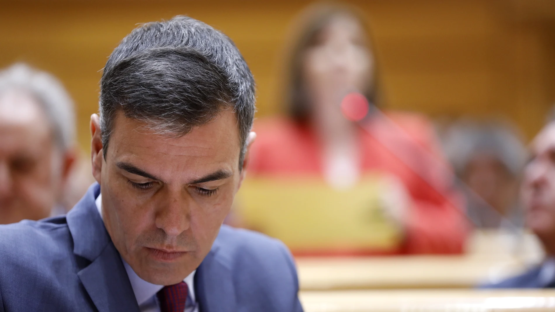 Sesión de control al Gobierno en el Senado
