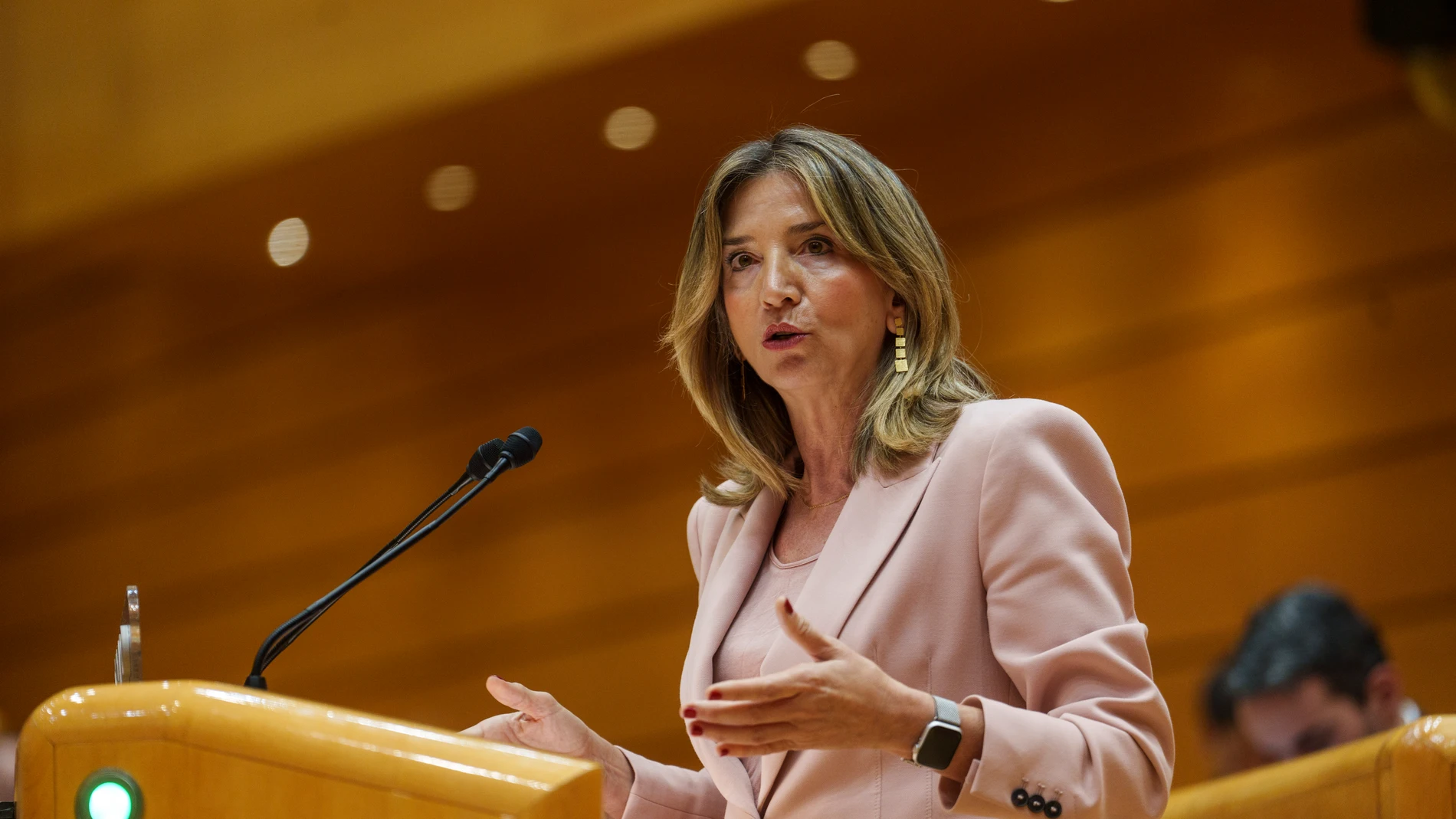 Alicia García en el Pleno del Senado
