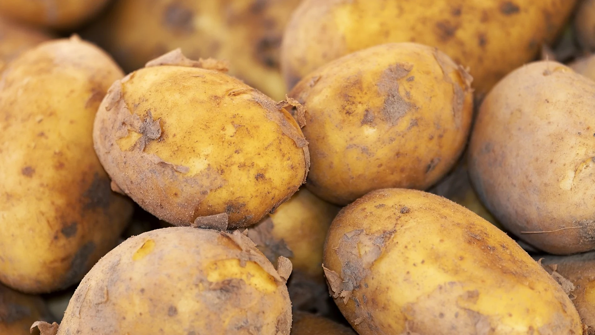Las patatas son sensibles al etileno, una hormona vegetal que acelera la maduración