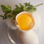 Los huevos no tienen una fecha de caducidad, sino una fecha de consumo preferente