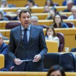 Oscar Puente en el Pleno del Senado. David Jar