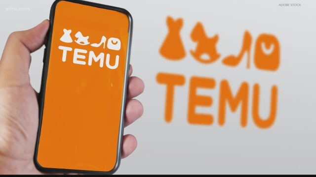 La web china Temu