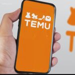 La web china Temu