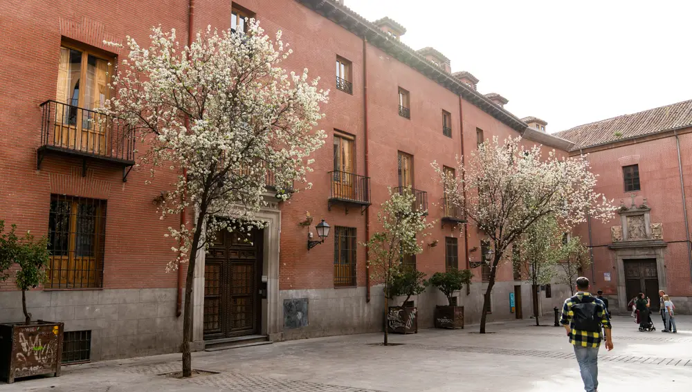 Palacio del Conde de Miranda. David Jar