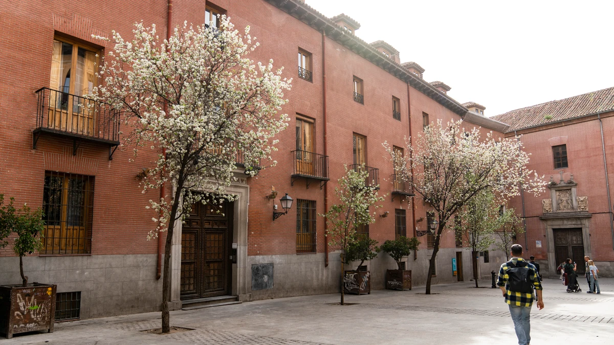 Palacio del Conde de Miranda. David Jar