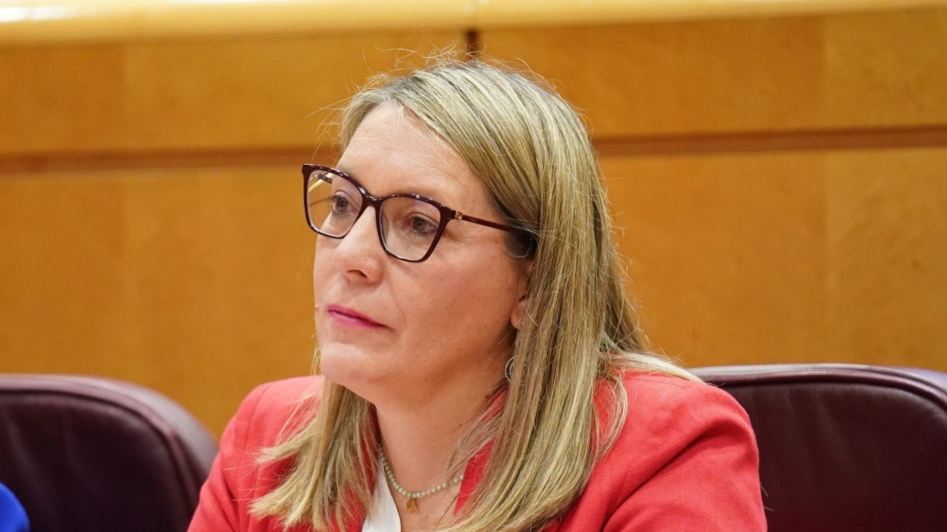 La senadora del PP por Ávila y portavoz de Comercio, Piedad Sánchez