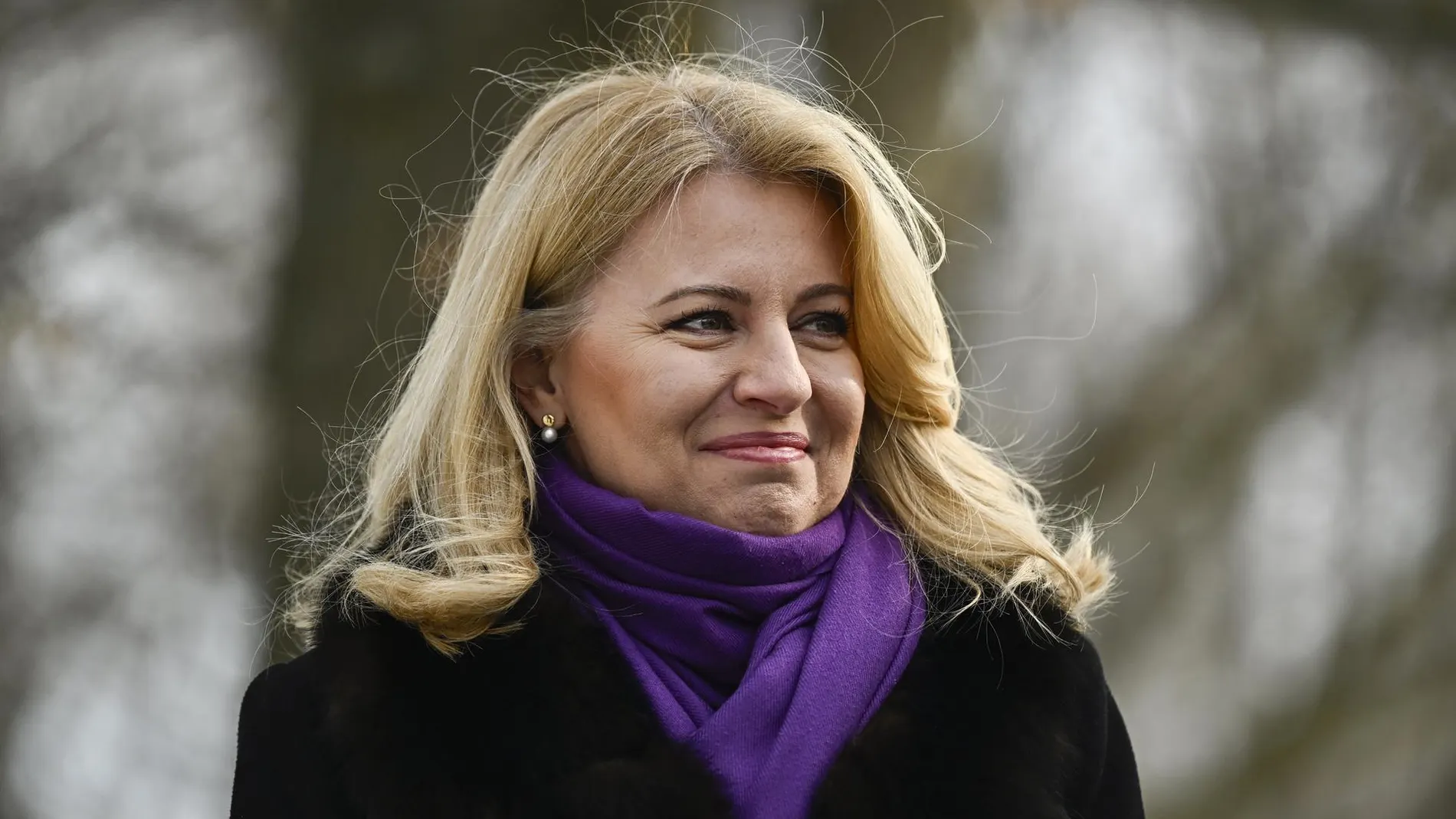 Eslovaquia.-Eslovaquia celebra presidenciales marcadas por la polarización y la negativa de Caputova a revalidar mandato