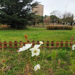Oasis de mariposas de Salamanca