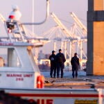 Baltimore bridge collapses after being hit by cargo ship
