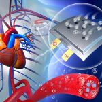 El oxígeno trabaja con los electrodos para producir energía