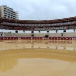 Suspendida la Corrida Picassiana de Málaga