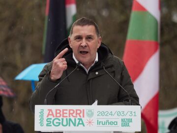 AMP.- Otegi (EH Bildu): "La independencia no llegar&aacute; si no llegamos antes a los gobiernos"