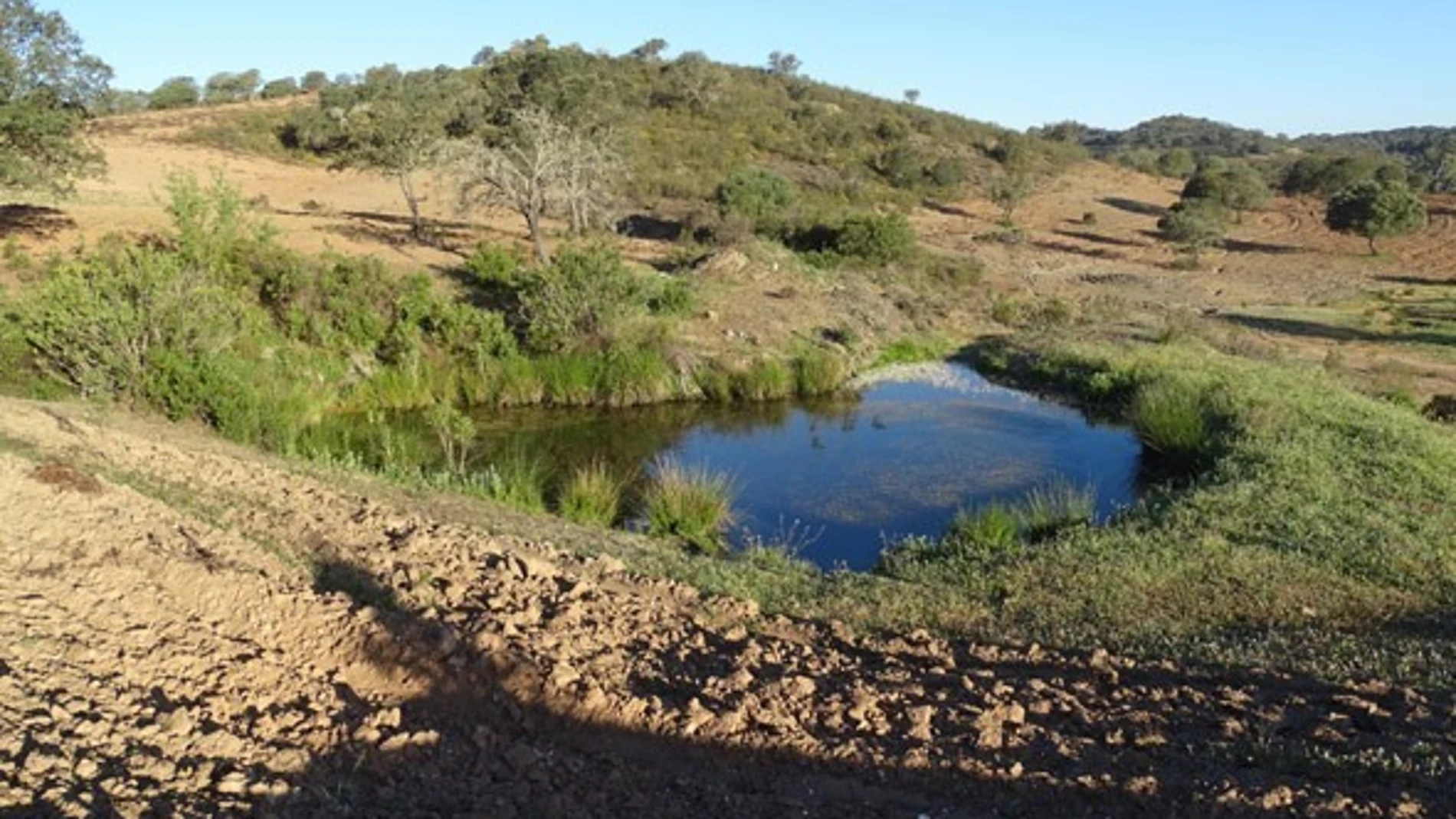 Manantial de las Adelfas en el municipio de Villanueva de los Castillejos en Huelva