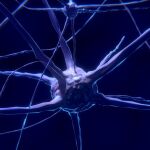 Investigadores crean neuronas zombis en ratones para revelar los secretos del aprendizaje
