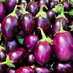 Algunos alimentos poseen nutrientes que son excelentes para una vida saludable y lograr un bienestar