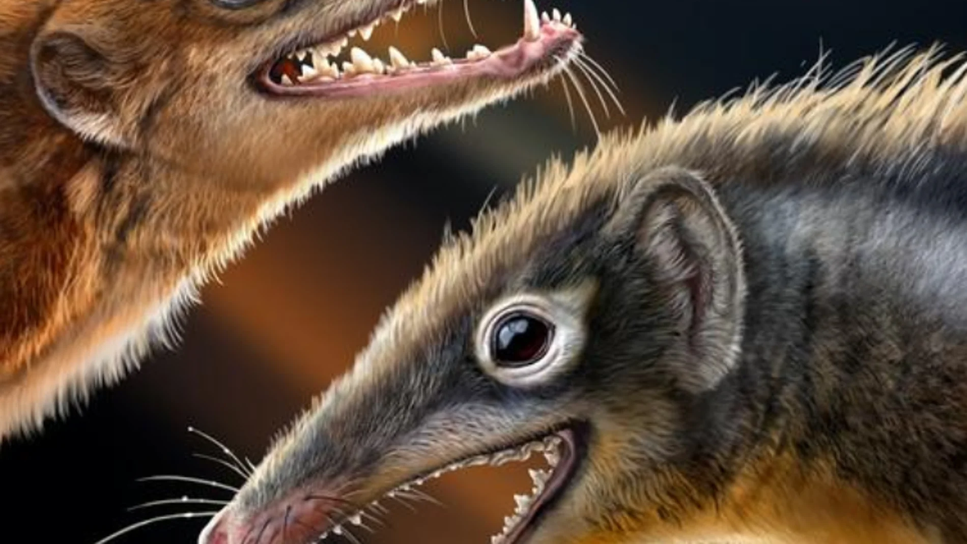 Dinosaurios