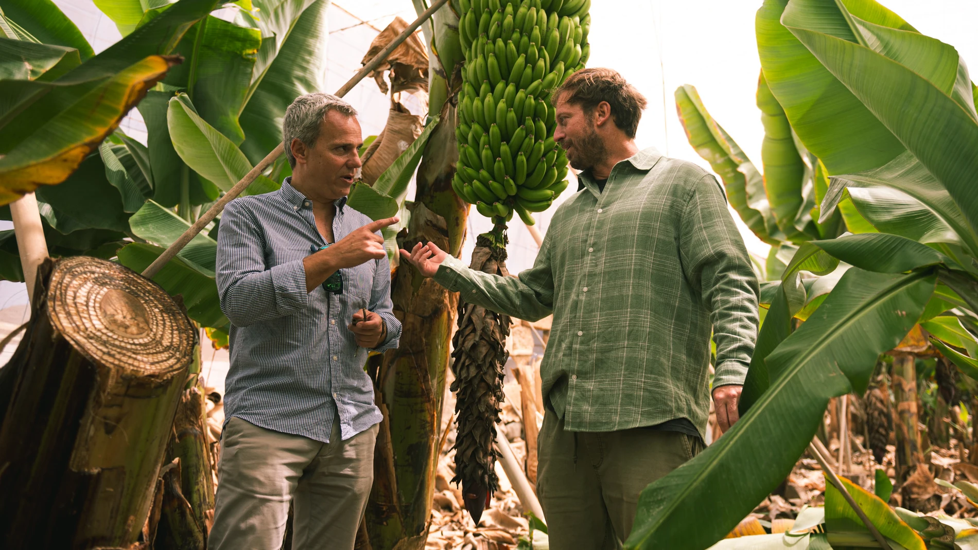 Juan Mesa y Diego González, agricultores que reciben agua regenerada