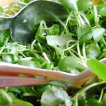 Para tener una alimentación saludable debemos centrarnos en aquellos alimentos que poseen una gran cantidad de nutrientes