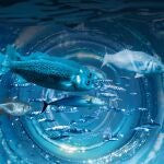 Ilustración de portada : la pesca en la diana