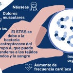 STSS Japón síntomas